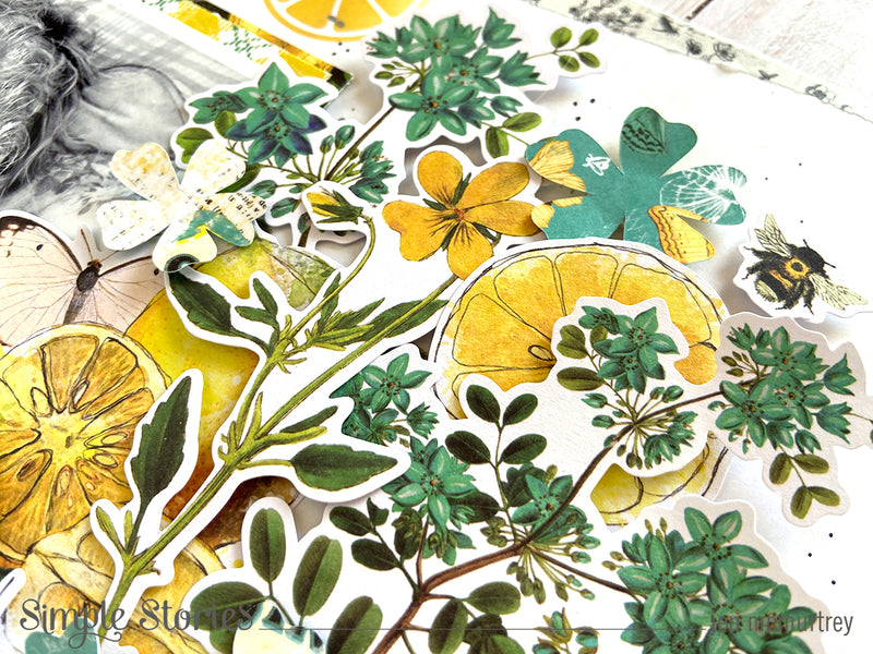 My Main Squeeze! by Jen McMurtrey