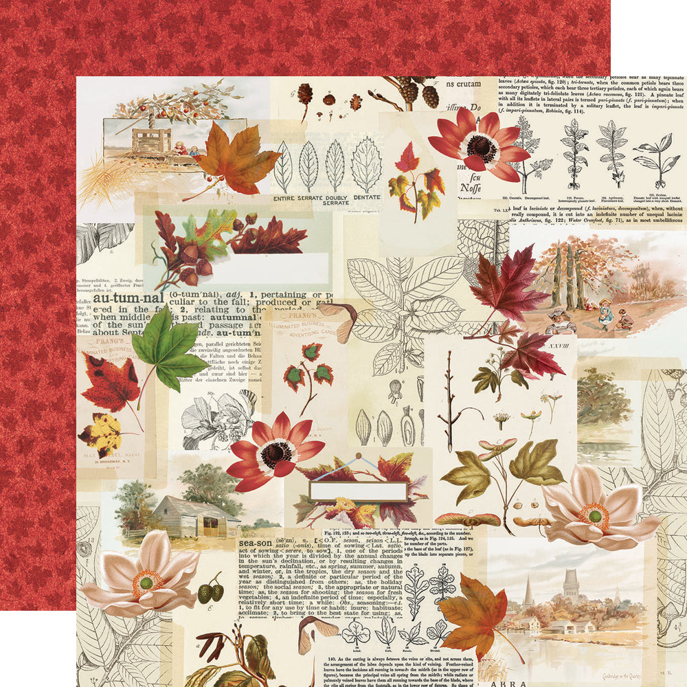 Autumn Splendor 12x12 Paper - Grateful Hearts