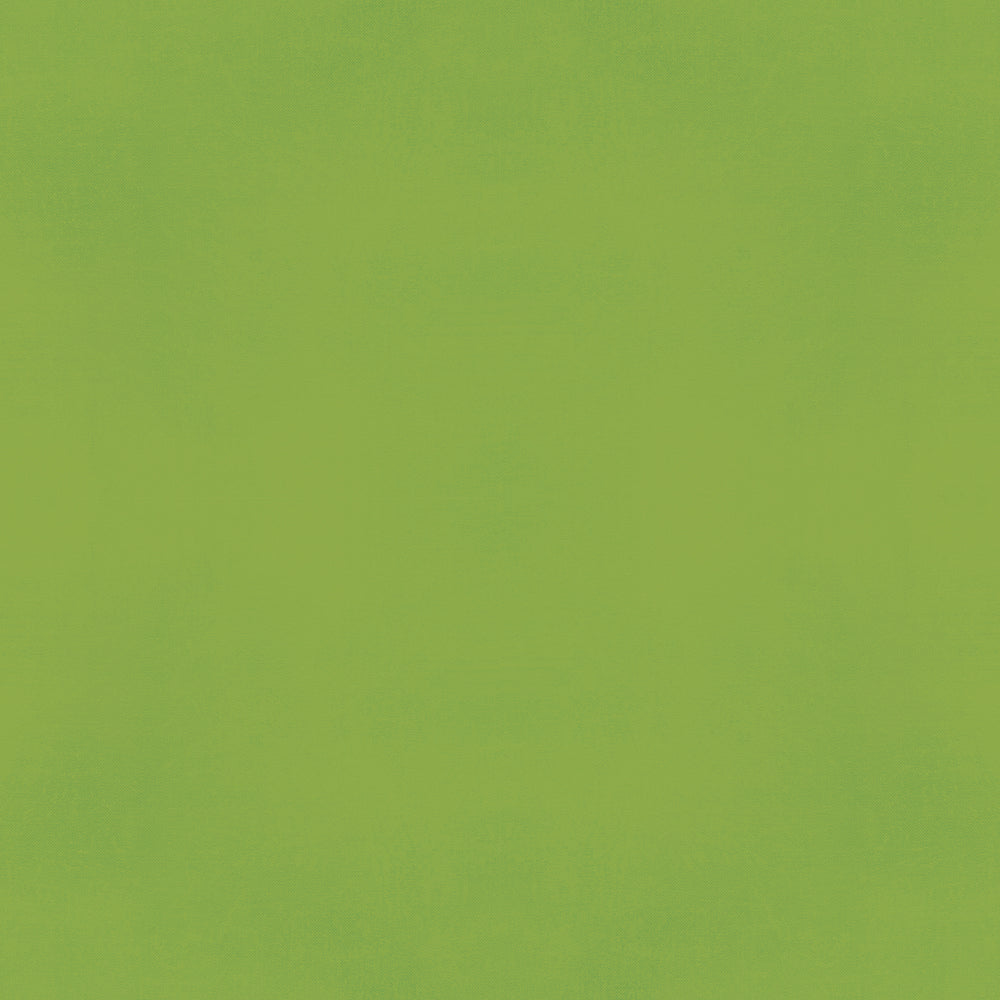 Color Vibe 12x12 Textured Cardstock - Green