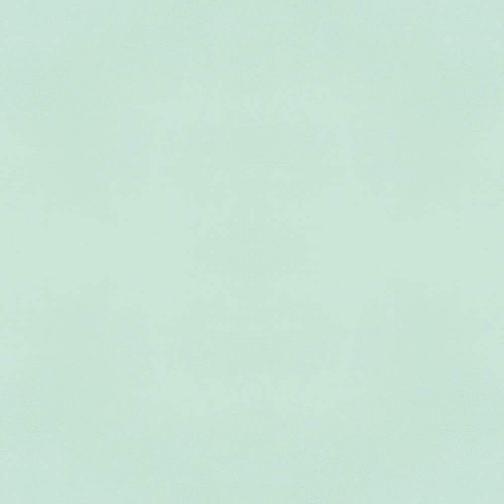 Color Vibe 12x12 Textured Cardstock - Mint