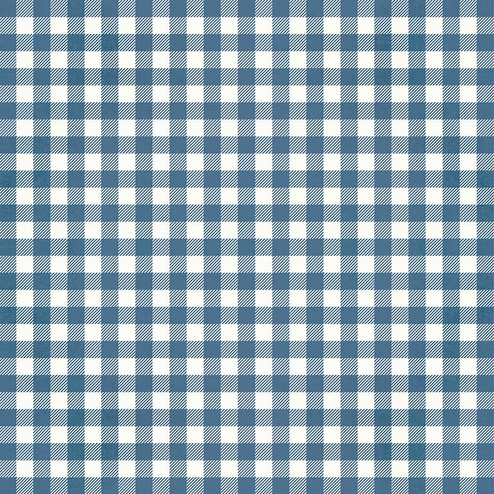 Summer Lovin' - Denim Gingham